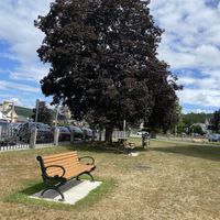   at Black Magic Mexican in Lebanon