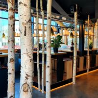 birch forest at Hans im Glück in Dusseldorf