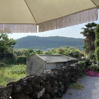 View from outdoor seating area  at Pengohoda - 펜고호다 in Jeju