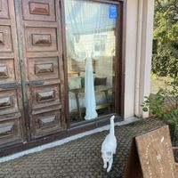   at Pengohoda - 펜고호다 in Jeju
