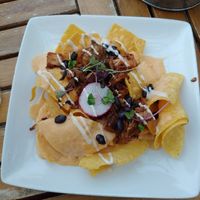 Monster nachos with jackfruit and cashew queso sauce. I almost licked the plate clean. One of the best vegan queso sauces Ive had...and didnt upset my stomach like they usually do! at Necio Mexican Kitchen in Denver