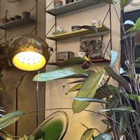   at Faire Brunch & Drinks in Barcelona