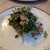 Cucumber ceviche at The Abinger Hatch in Dorking