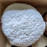 Boule de Berlin at La Pâtisserie Vegan - Les Saveurs De La Bastille in Liege