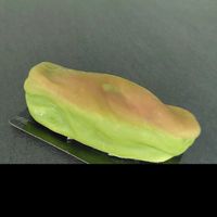 Pistachio at La Pâtisserie Vegan - Les Saveurs De La Bastille in Liege