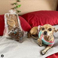 Cinnamon Streusel Coffeecake at 7 Deadly Confections - Pre Order Only in Perris