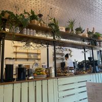 View from seat  at The Specialty Coffee Shop in Nottingham