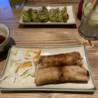 Gyoza veggie and Nem Ani House  at ANI House in Bremen