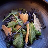 Salad  at Bistro Lupa in Copenhagen