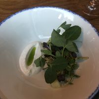 First course  at Bistro Lupa in Copenhagen