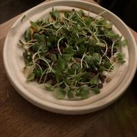   at Bistro Lupa in Copenhagen