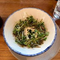 Potato / Ramson / Buttermilk at Bistro Lupa in Copenhagen