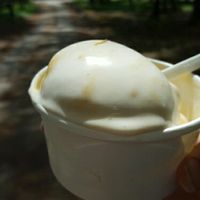 slightly melted coconut and mango vegan ice cream at The Beech Cafe in Petersfield