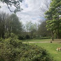   at The Beech Cafe in Petersfield