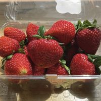 Best strawberries!  at The Market By Buon Appetito in San Diego