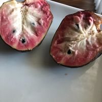 Custard apple at Serendib Tropical Fruit Farm in Homestead