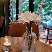 Deli at DC Vegan in Washington