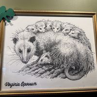   at DC Vegan in Washington