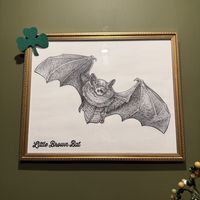   at DC Vegan in Washington