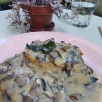 Vegan biscuits and gravy at Acorn Community Cafe in Eugene