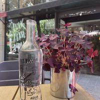 Terrace  at Fat Veggies in Barcelona