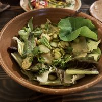 4 ravioli under some salad  at Fat Veggies in Barcelona