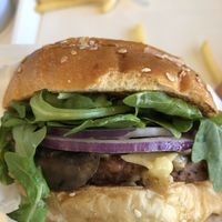   at STALK & SPADE in Wayzata