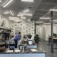 Creative interior design  at Mane Coffee in Boca Raton