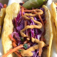 Torch Lake Tacos at M I Vegan Food Truck in Lansing