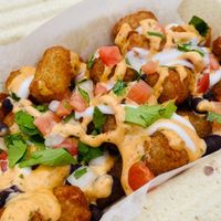 Traverse City Tots at M I Vegan Food Truck in Lansing