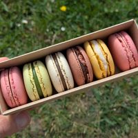 Macarons! at Land & Monkeys - Roquette in Paris