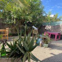 Seating area + Garden #Veganuary at Yum Yum San Pancho in San Francisco