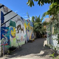 Entrance  #Veganuary at Yum Yum San Pancho in San Francisco