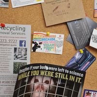  at Hong Kong Vegan in Wakefield