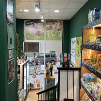 Interior  at Vegan Point in Tenerife