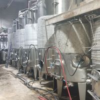 Making wine! at Pelter Winery in Ein Zivan