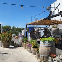Front of the winery - do cute and friendly! at Tulip Winery in Kiryat Tivon