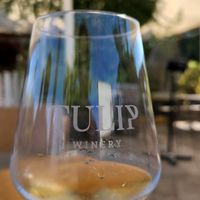 L'chaim! 🥂 at Tulip Winery in Kiryat Tivon
