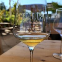  at Tulip Winery in Kiryat Tivon