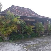 Wonderful  at Soma Yoga - Vegi Jawi in Depok