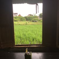 View  at Soma Yoga - Vegi Jawi in Depok