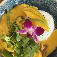 mango curry with planted chicken  at Nón Lá Restaurant in Basel