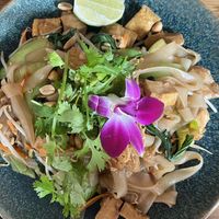rice noodles with soy sauce  at Nón Lá Restaurant in Basel
