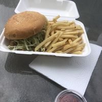 Pesto chicken sandwich with fries at The Trashy Vegan in Asheville