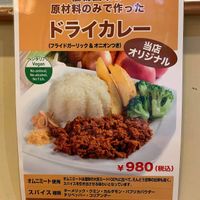 Dried curry menu at SARIO 聘珍茶寮 - Chinatown in Yokohama