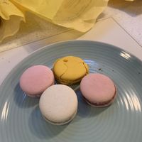 Macaronis   at Arapina in South East London