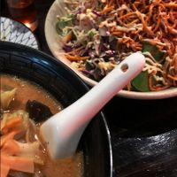 Generous amounts of delicious food served with courtesy and attention. at Ramen Takara in Auckland