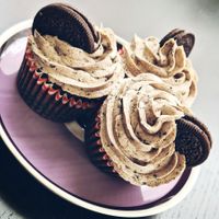 Oreo Cupcakes  at Plant Cakery in Pijnacker