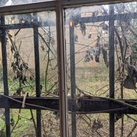  at Love Peace & Coffee in Edinburgh