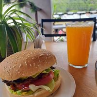 Burger + freshly pressed tangerine juice 😋 at Rinconcito Vegano in Boquete